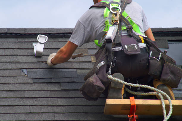 Best Chimney Flashing Repair  in Millville, DE
