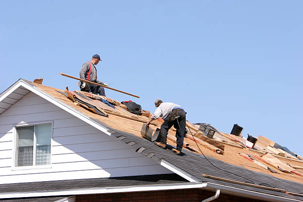 Best Gutter Installation and Repair  in Millville, DE