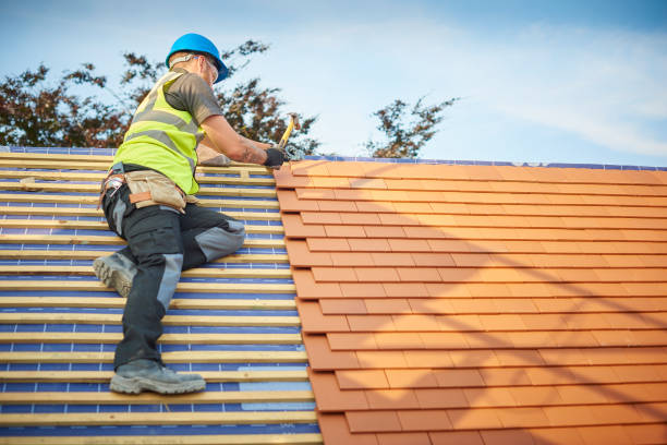 Best Roofing for New Construction  in Millville, DE